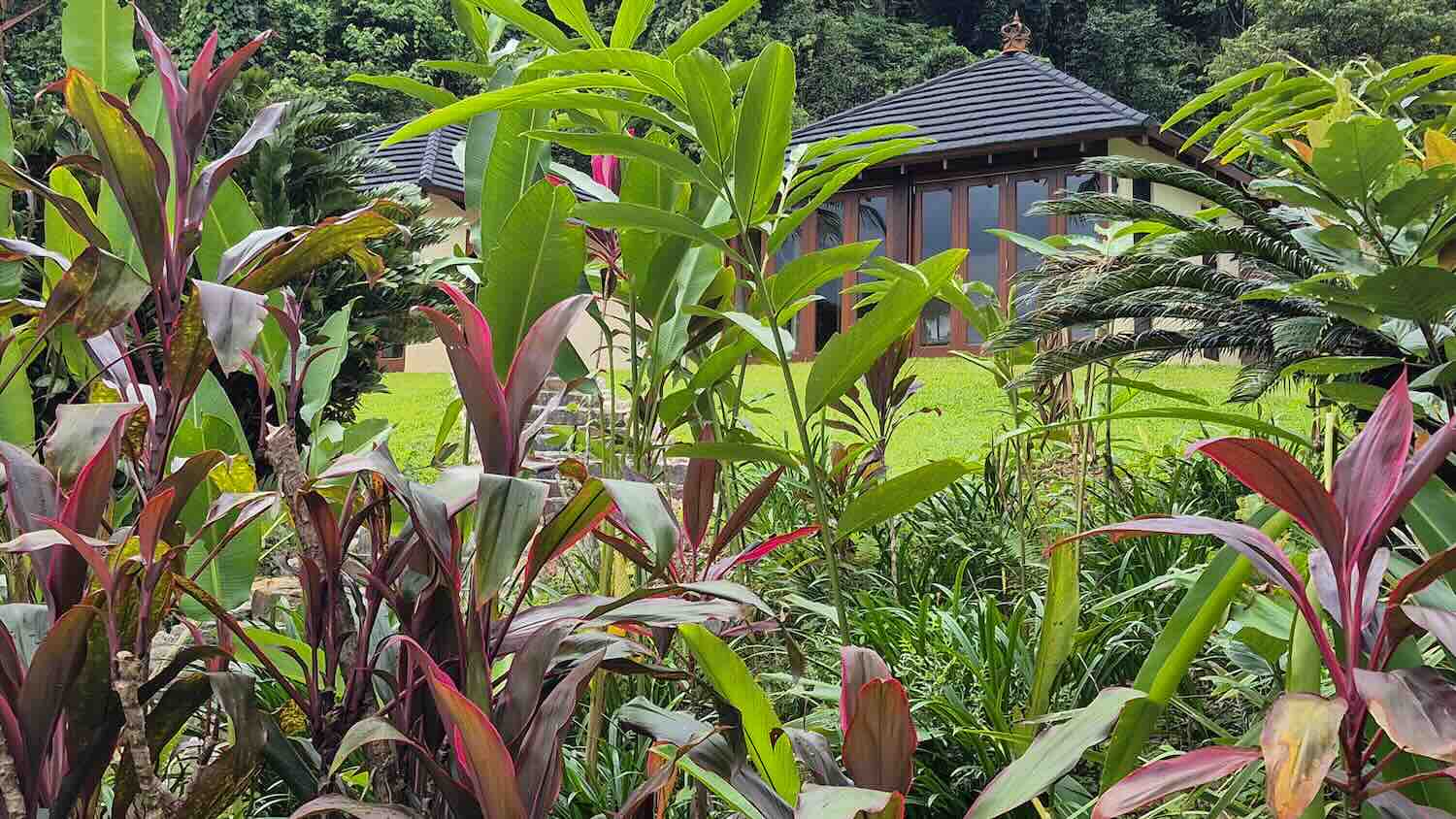 Executive Retreats Bali Hai Pool Gardens