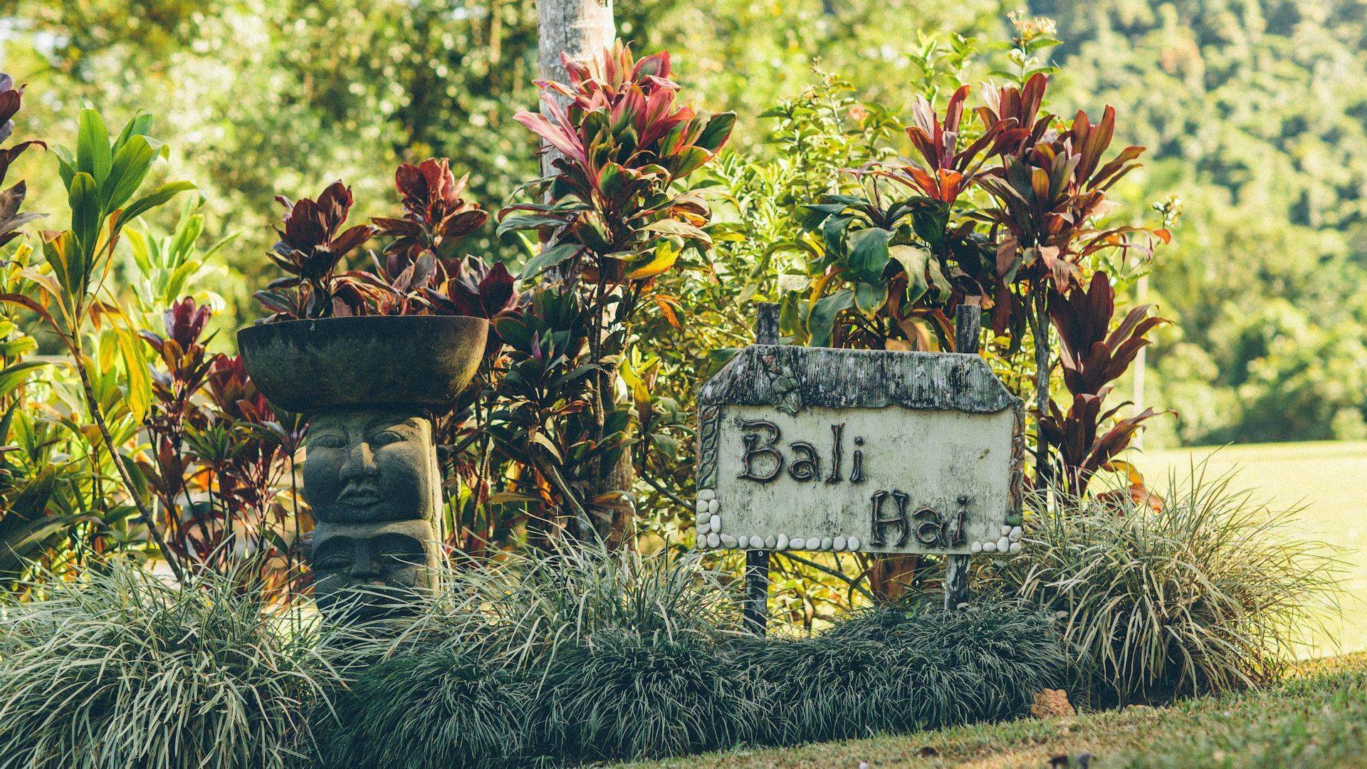 Zzz Bali Hai 018