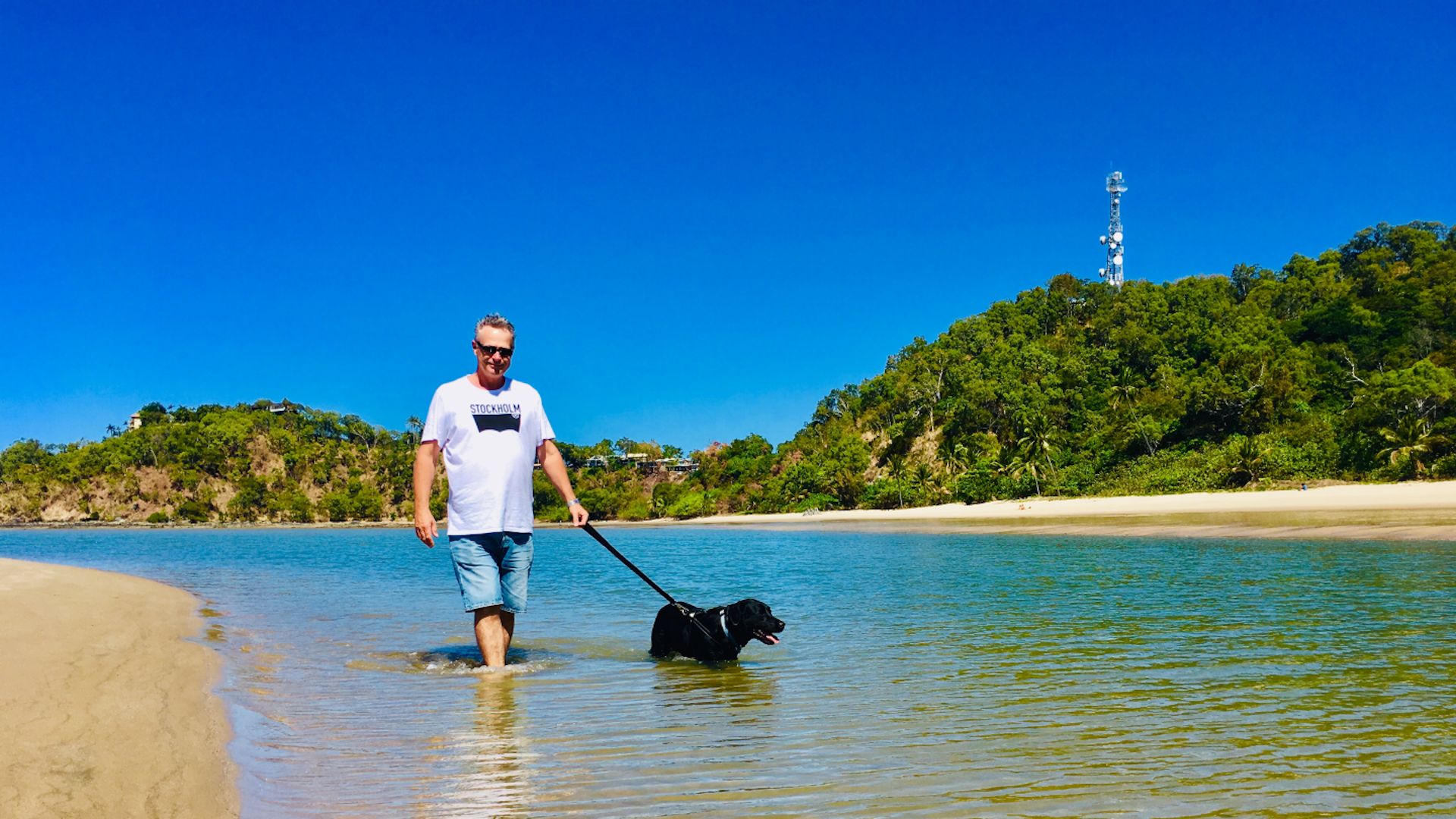 Pet Friendly Accommodation in Cairns