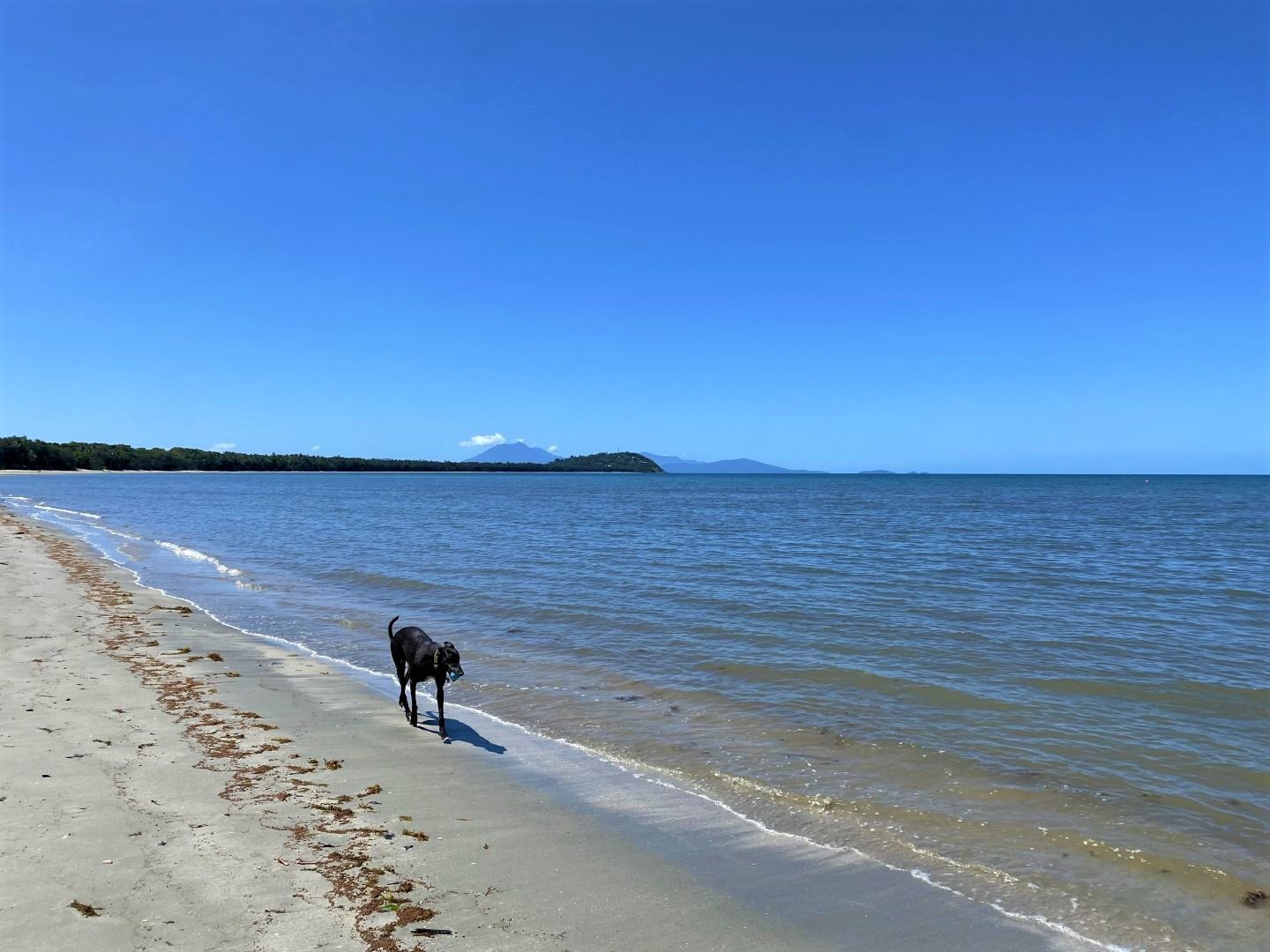 Best Pet Friendly Accommodation